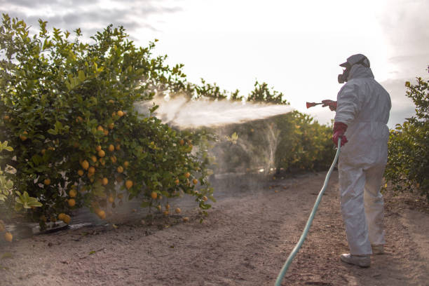 Insect Control in Lathrup Village, MI